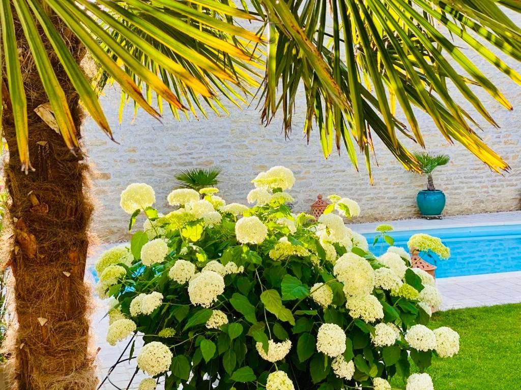 "Le Jardin" Chambre De Charme, Piscine A مورسول المظهر الخارجي الصورة