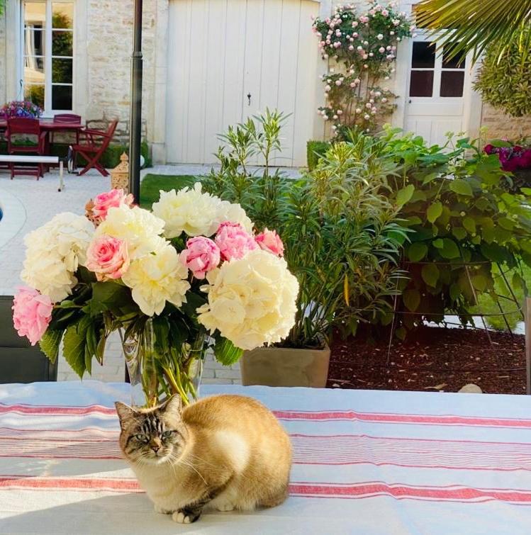 "Le Jardin" Chambre De Charme, Piscine A مورسول المظهر الخارجي الصورة